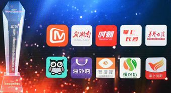 大瀚荣获2016年度湖南十大最受欢迎移动应用软件产品